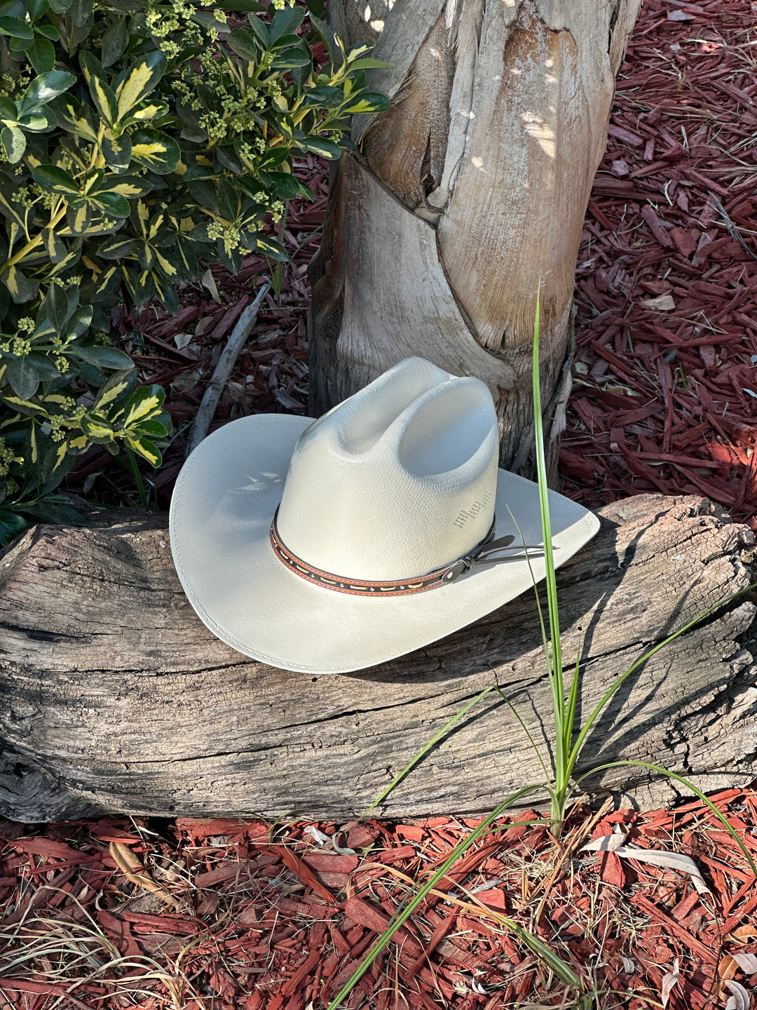 Stone Chaparral