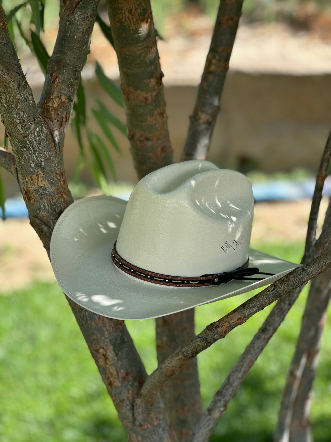Stone Chaparral