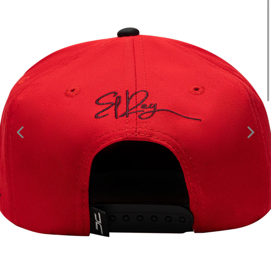 JC HAT “LION”