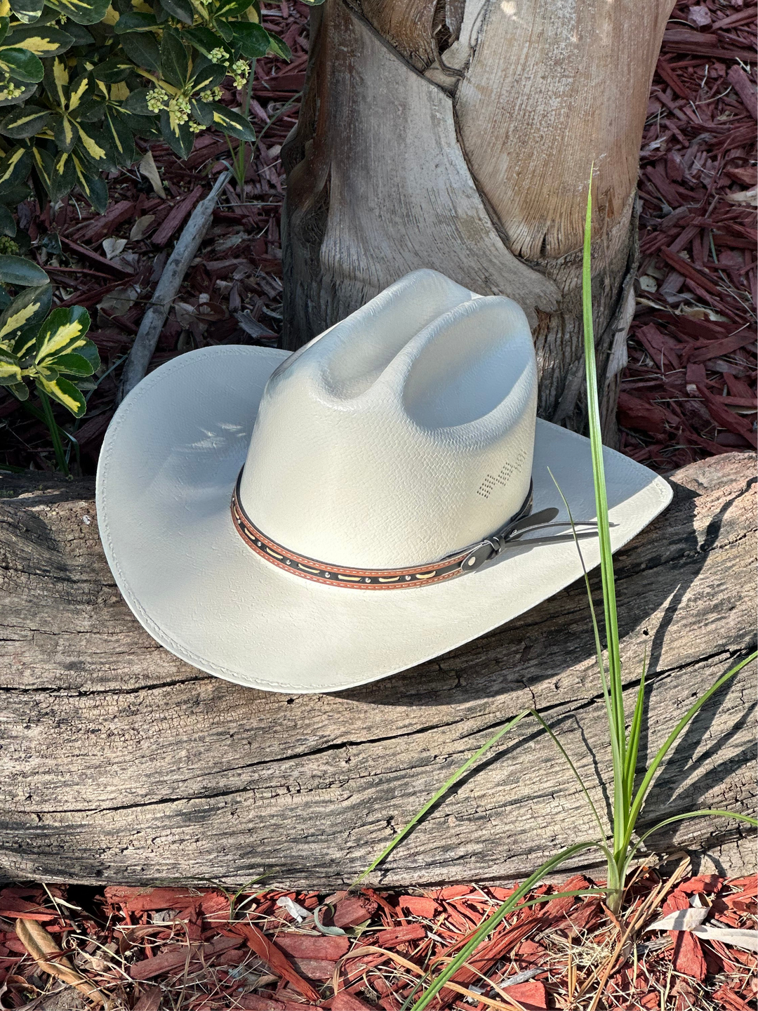 Stone Chaparral