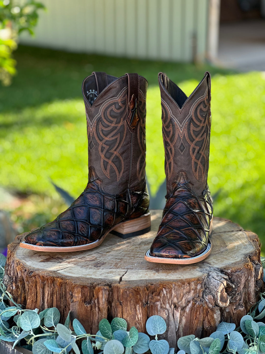 CHEDRON PIRARUCU SQUARE TOE BOOT