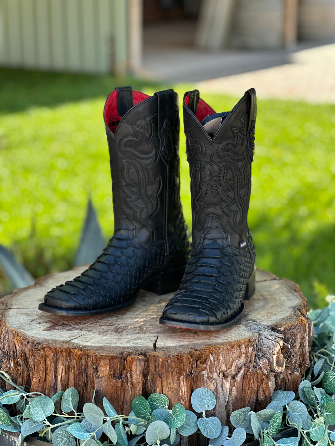 PYTHON BLACK SQUARE TOE BOOT