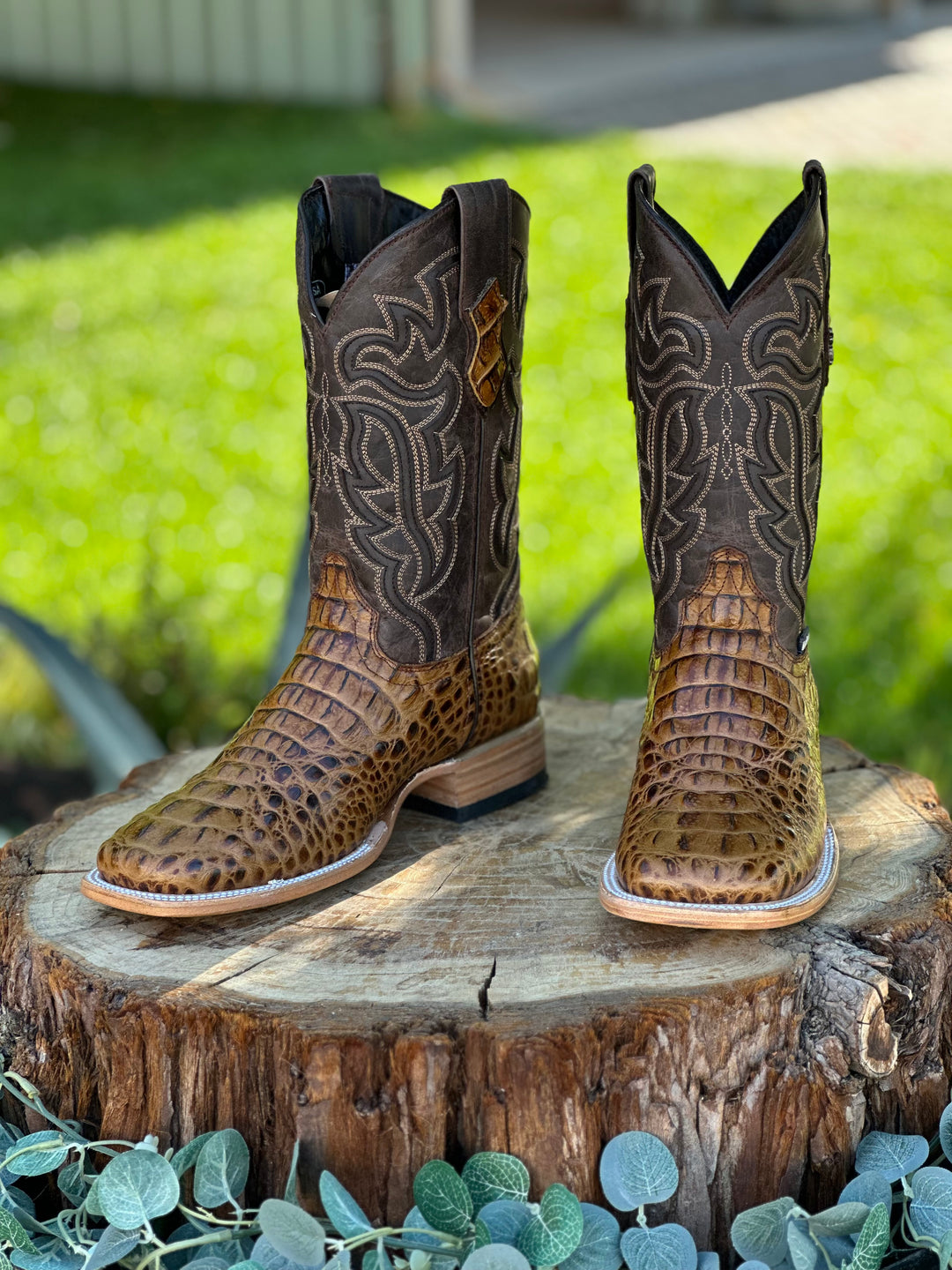 HONEY CROC SQUARE TOE BOOT