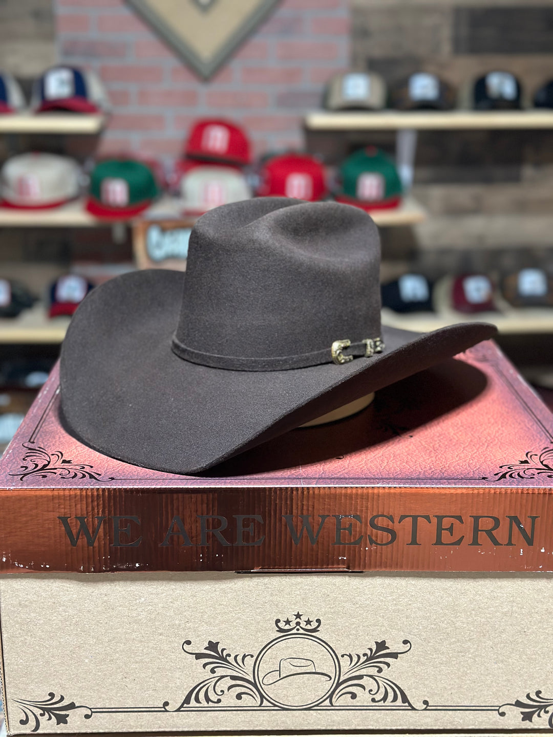 Tombstone 20X Roper Chocolate
