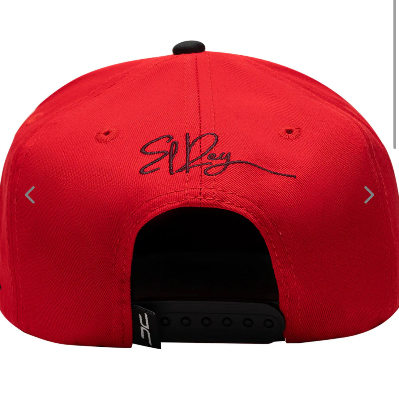 JC HAT “LION”