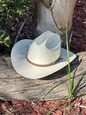 Stone Chaparral