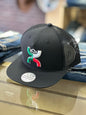 HOOEY TRICOLOR NAPBACK