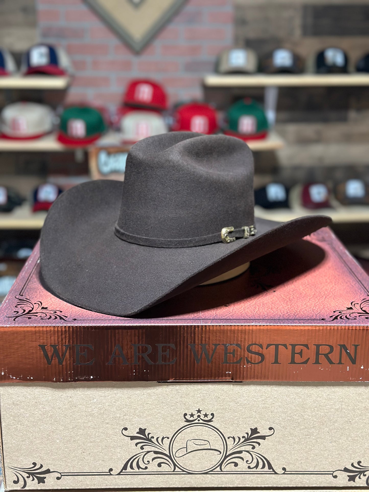 Tombstone 20X Roper Chocolate